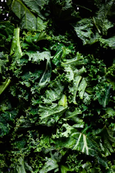 Image de la recette : Chou kale mariné